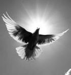 10291047_10152489868698628_4721428099103915211_n